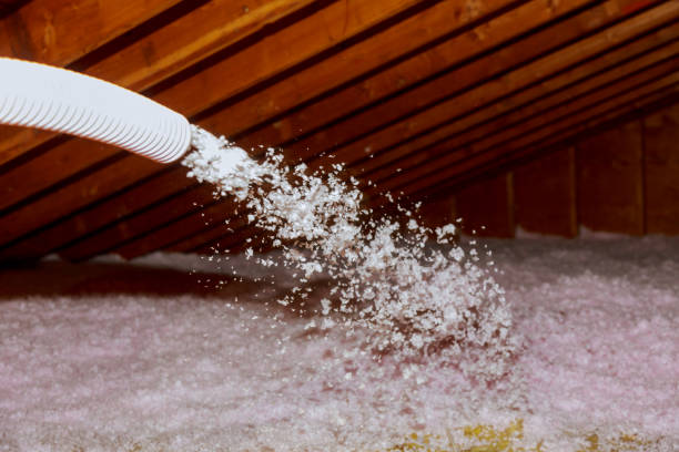 Best Commercial Insulation in Eudora, AR