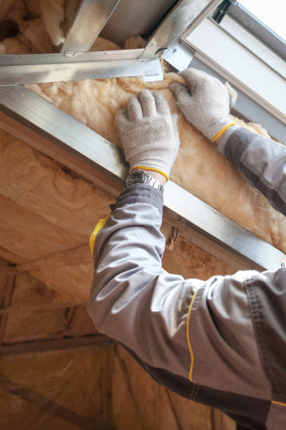 Best Specialty Insulation in Eudora, AR