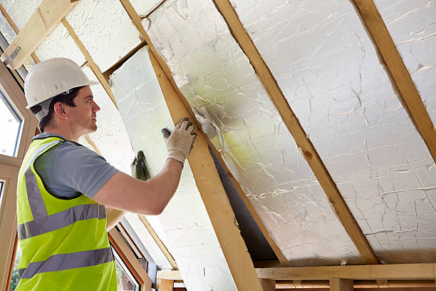 Best Commercial Insulation in Eudora, AR